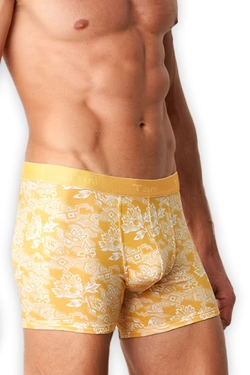 Men Boxer briefs