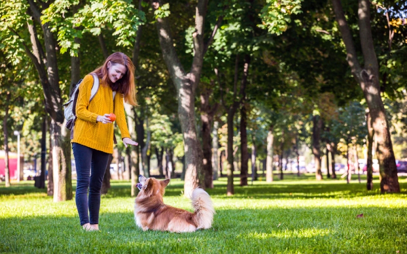 pet waste disposal system