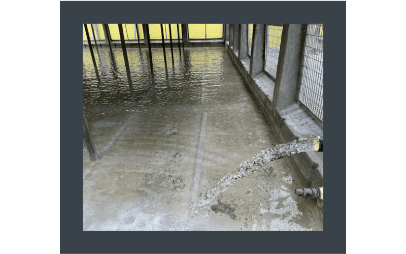 cooling tower water treatment