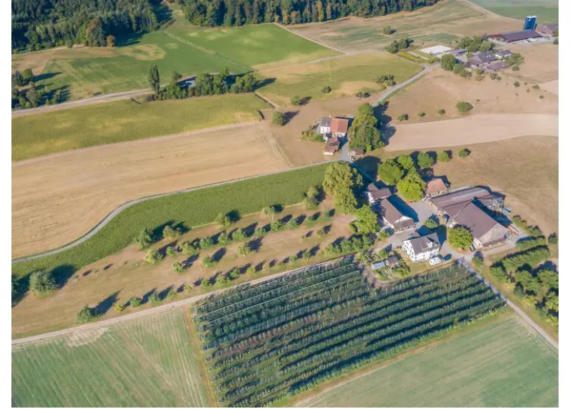 Selling Land For Cash