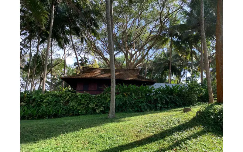 best time to visit kerala
