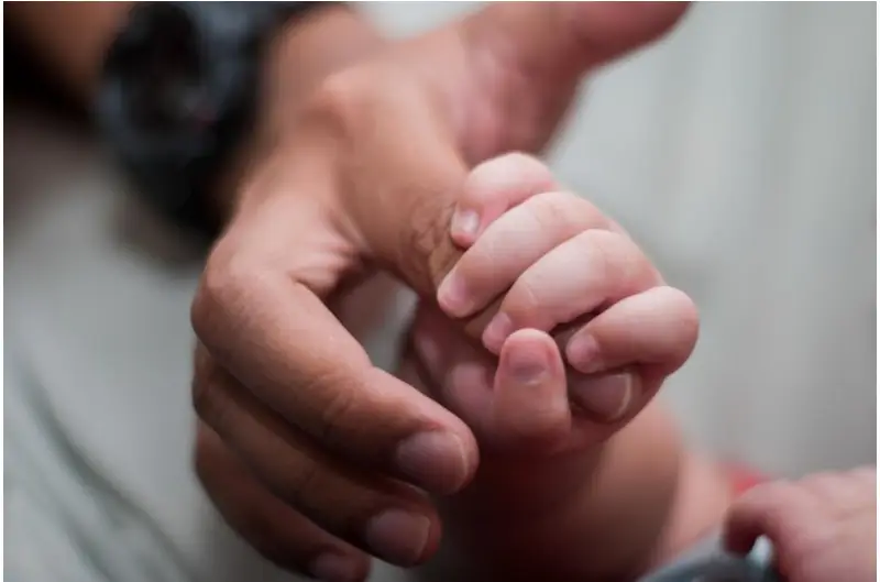 egg donation san diego