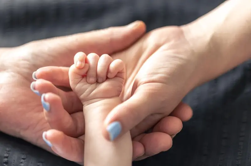 egg donation san diego