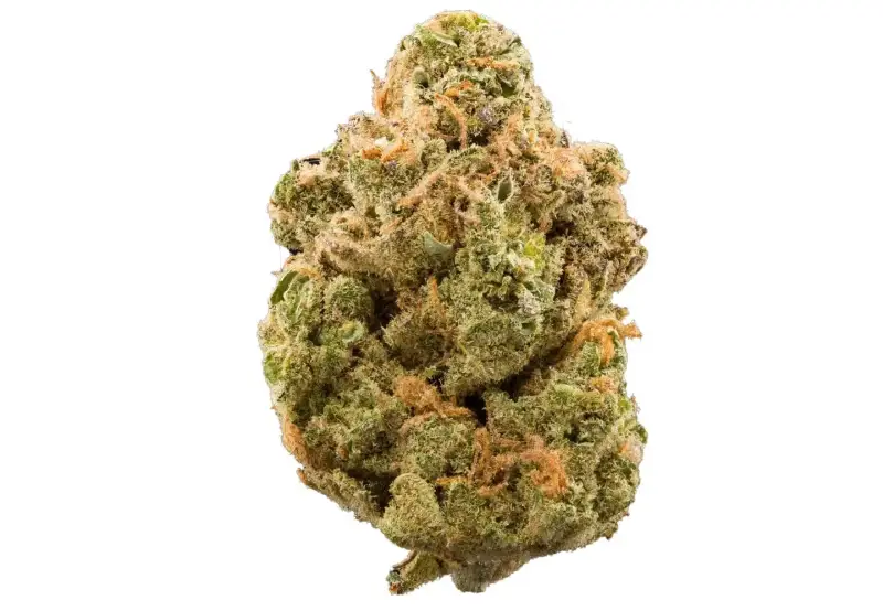 Purchase DMT online